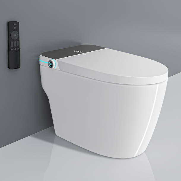 XSIX Smart Bidet Toilet, DualFlush Elongated Toilet Bidet Wayfair